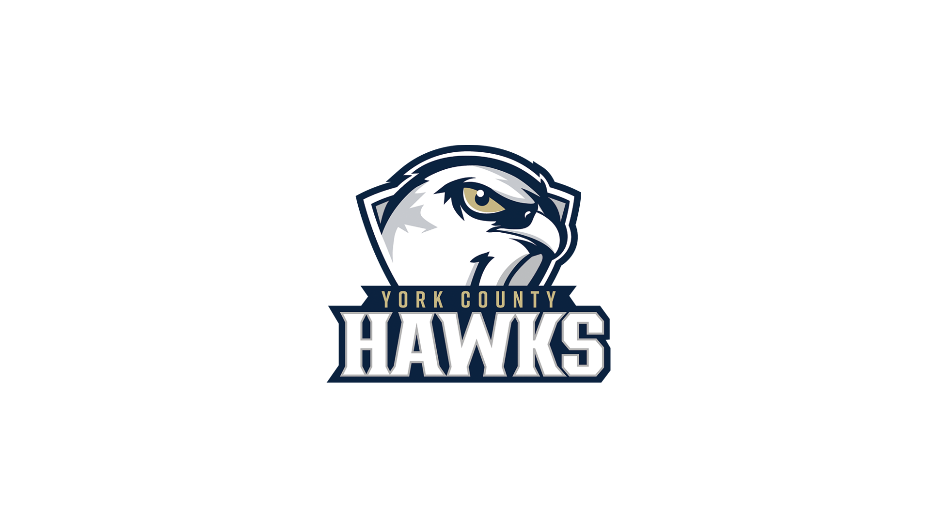 Hawks Baseball off to Strong Start